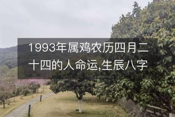 1993年出生的人属于哪种生肖及其特点解析